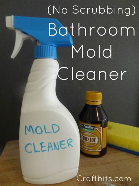 Magical Mold Cleaners: Tackling the Toughest Mold Stains
